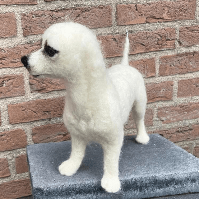 Wolvilt hond Jack Russel