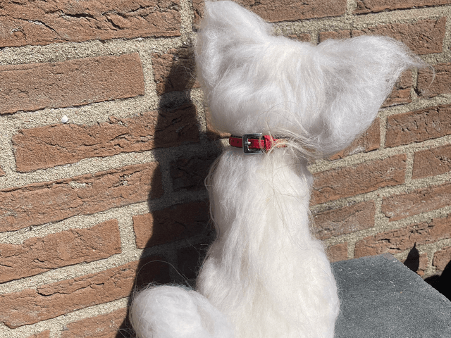 Naaldvilt hond wit