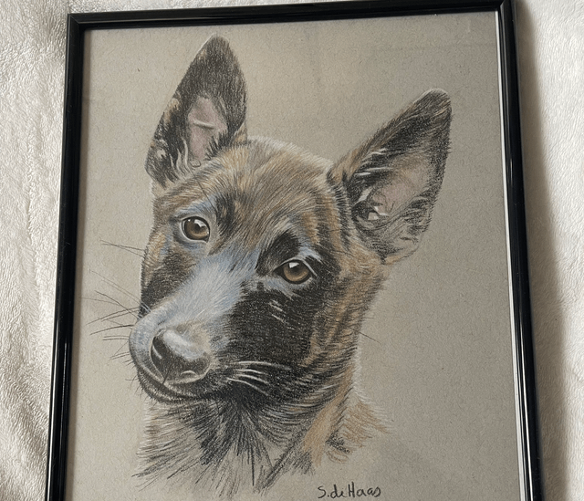 Tekening herder