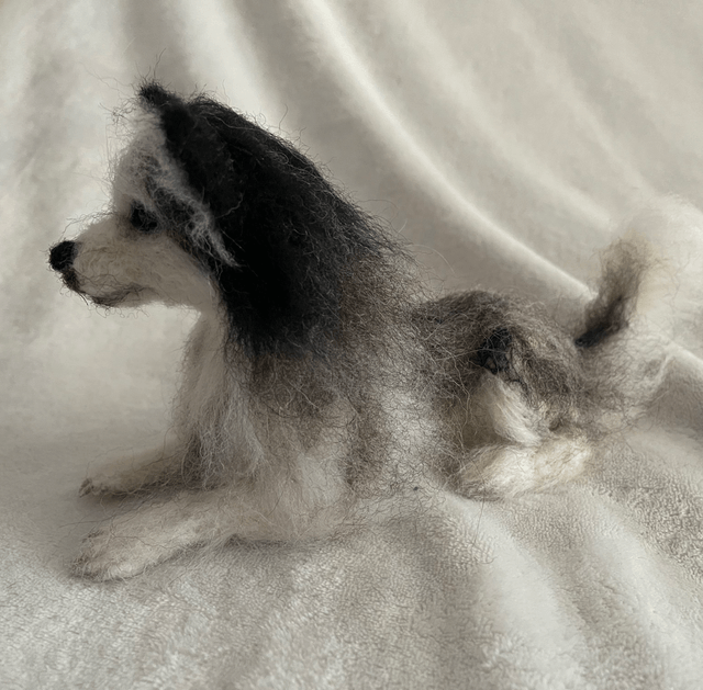 Husky naaldvilt