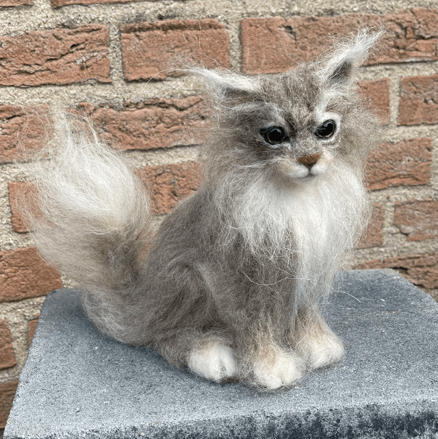 Naaldvilt grijze kat langharige