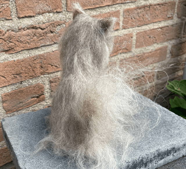 Naaldvilt grijze kat langharige