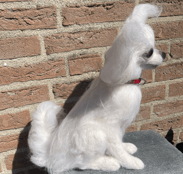 Naaldvilt hond wit