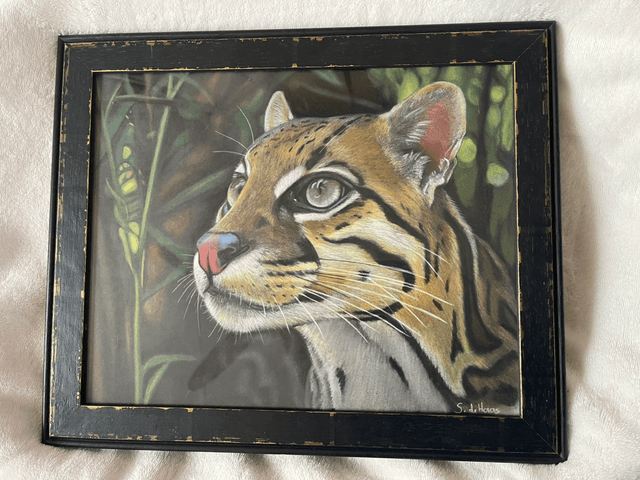 Pasteltekening kat