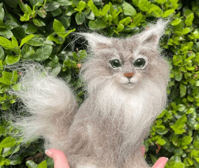 Naaldvilt grijze kat langharige