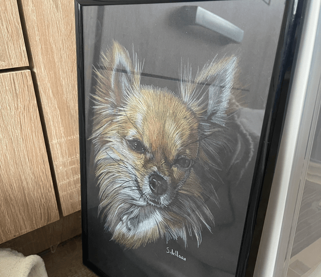 Tekening chihuahua