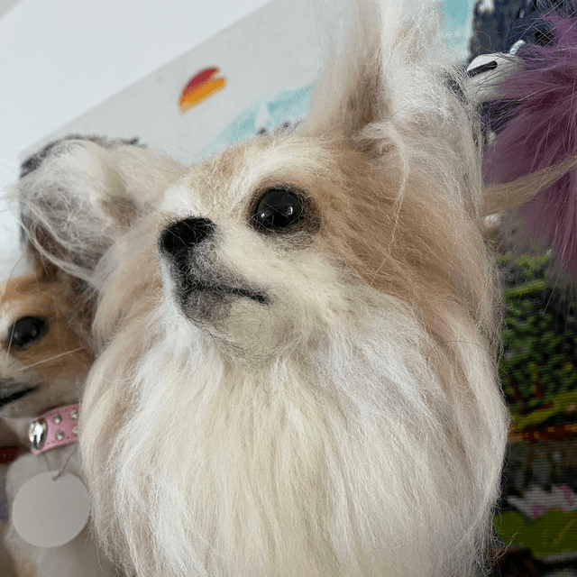 Naaldvilt chihuahua Lucky