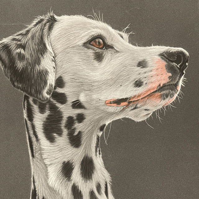 Commissie portret pastel A-3 
