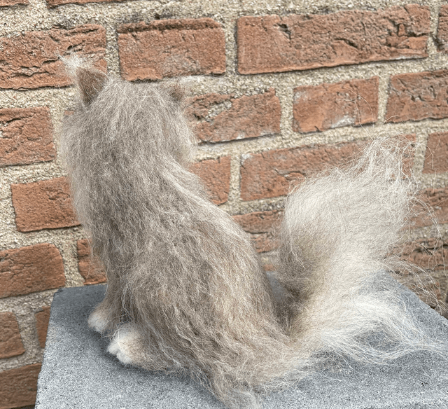 Naaldvilt grijze kat langharige
