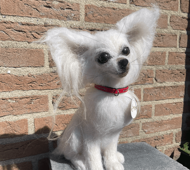 Naaldvilt hond wit