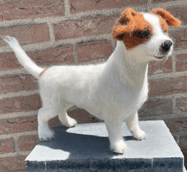 Wolvilt hond Jack Russel