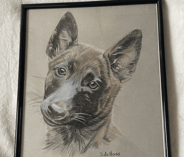 Tekening herder
