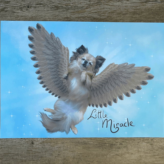 Winged Miracle fanart A-4