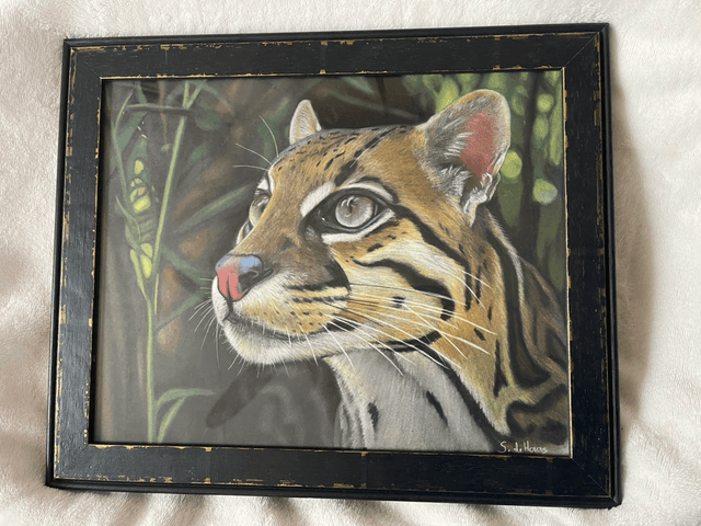 Pasteltekening kat