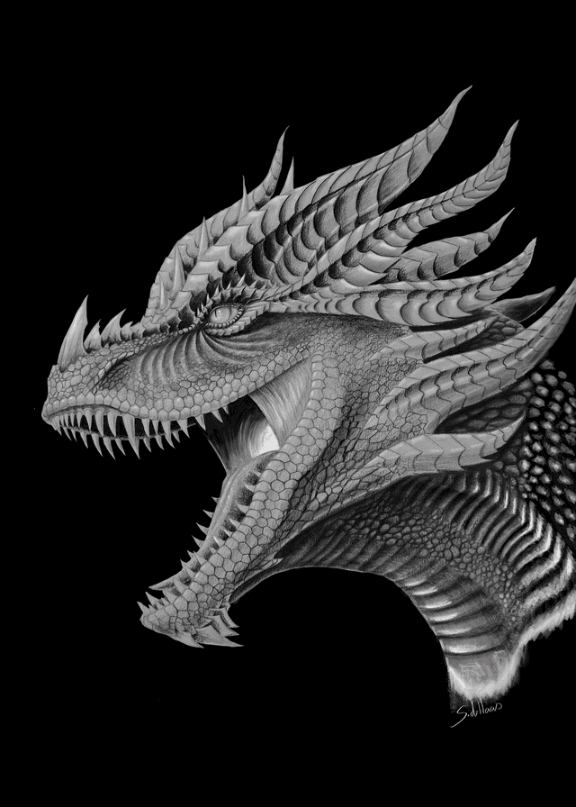 Shirt Titan dragon