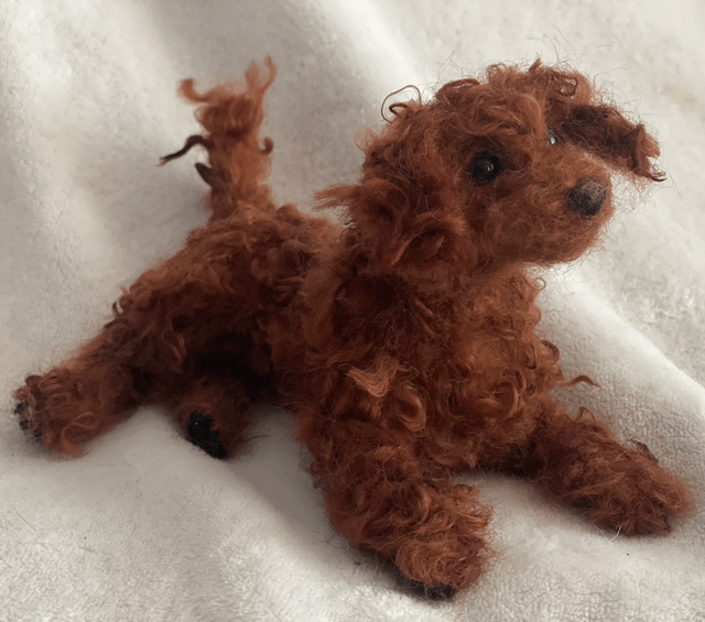 Labradoodle naaldvilt huisdier