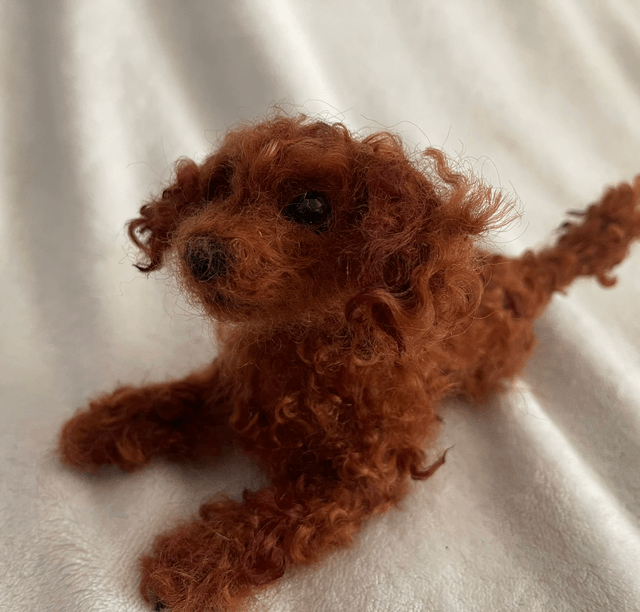 Labradoodle naaldvilt huisdier