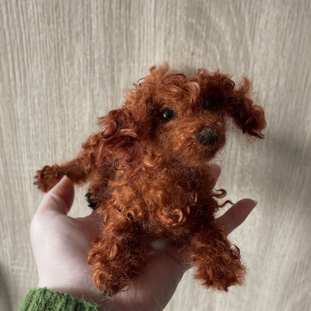 Labradoodle naaldvilt huisdier