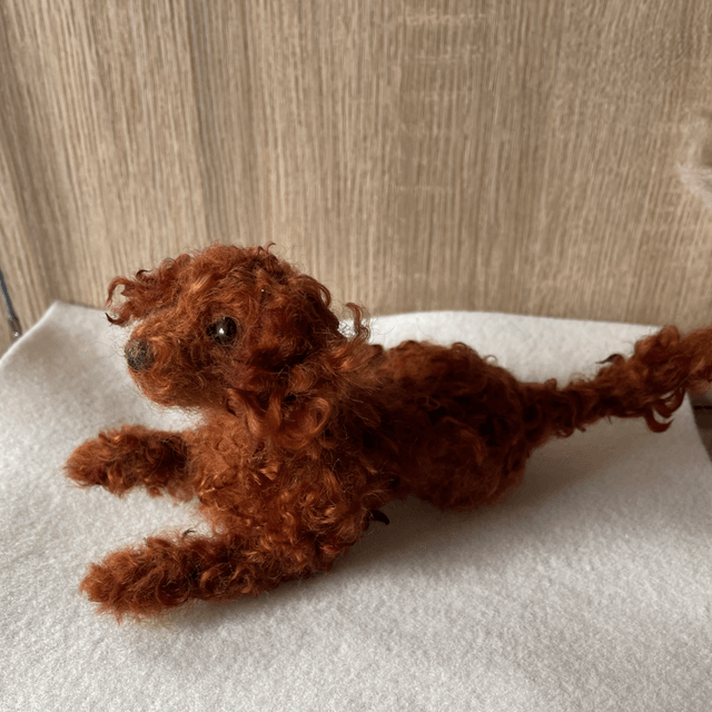 Labradoodle naaldvilt huisdier