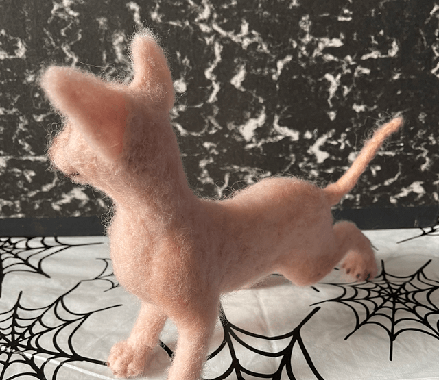 Sphynx kat (naaktkat)