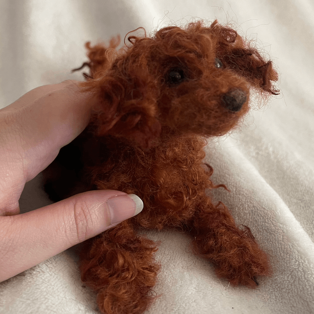 Labradoodle naaldvilt huisdier