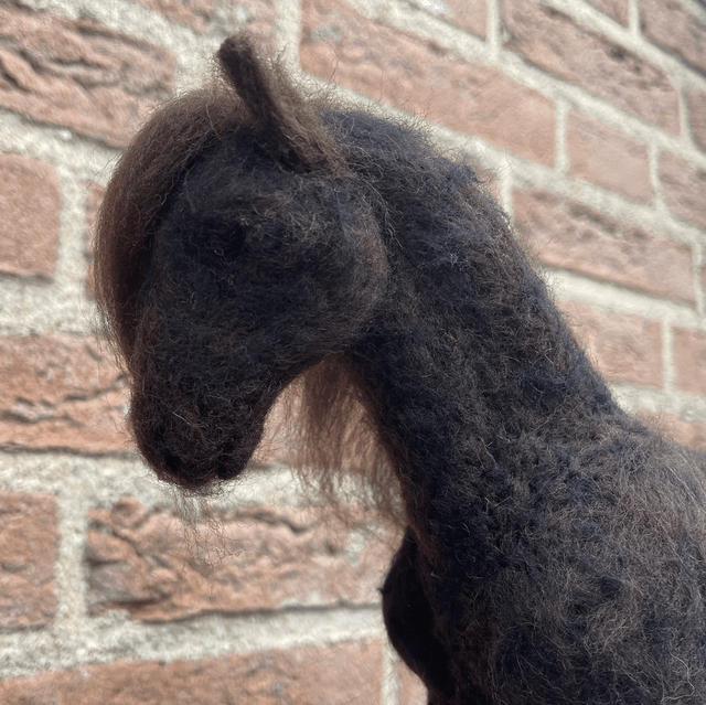 Naaldvilt paard Fries
